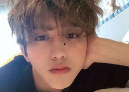 娱乐吃瓜酱程序员