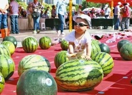 河南吃瓜爆料男孩