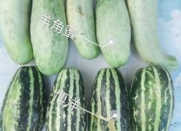 南通网红在线吃瓜,揭秘网络热点背后的故事