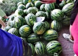 没费吃瓜网,网络舆论场的新势力崛起