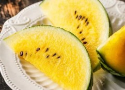 吃瓜深圳网红,网红们的美食盛宴与生活点滴