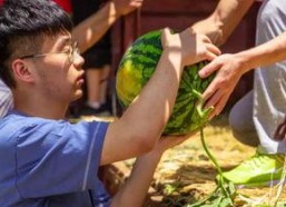 吃瓜捕娱乐,揭秘娱乐圈幕后故事