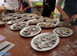 娱乐吃瓜场湛江,吃瓜群众的热议焦点