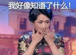 金星谈娱乐圈吃瓜,吃瓜群众的狂欢盛宴